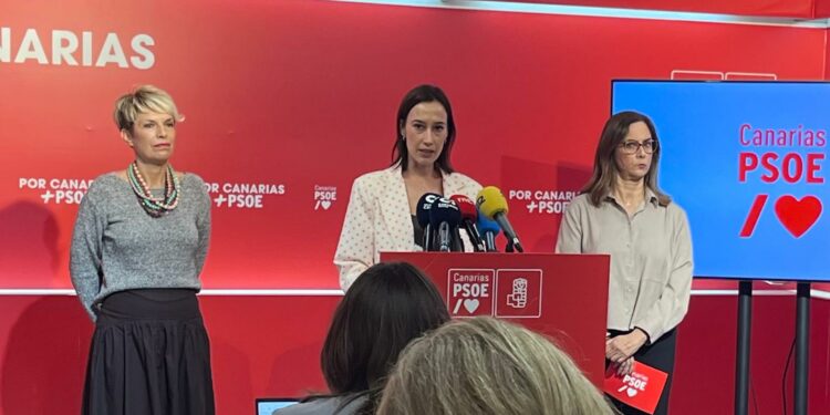 El PSOE denuncia la “estafa deliberada” del Gobierno de Canarias con los datos en dependencia