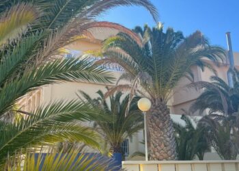 AMF de Tuineje denuncia «el cúmulo de irresponsabilidades» que se están cometiendo en el CEIP Gran Tarajal