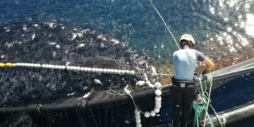 El Gobierno de Canarias convoca subvenciones del FEMPA destinadas a la acuicultura por importe de 4,42 millones €