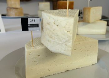 El Gobierno de Canarias convoca el Concurso Oficial de Quesos Agrocanarias 2025