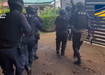 Desarticulada una organización criminal que importaba en contenedores cocaína oculta en fruta desde Costa Rica hasta diferentes puntos de Europa