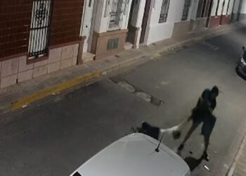 Detenido un hombre por un violento robo a una mujer en plena calle de Brenes (Sevilla)