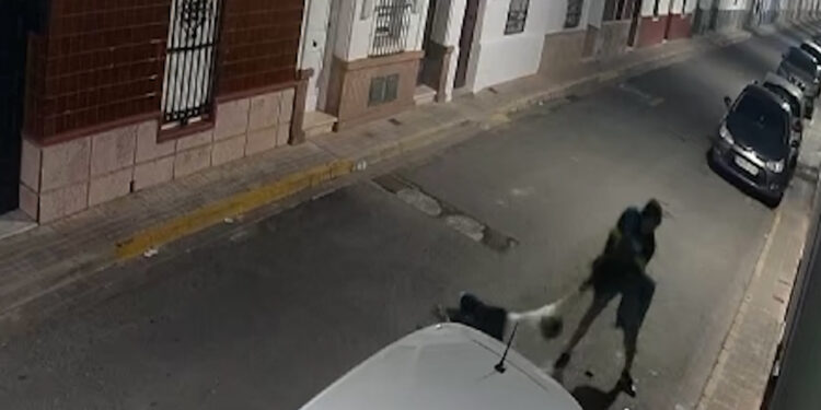 Detenido un hombre por un violento robo a una mujer en plena calle de Brenes (Sevilla)