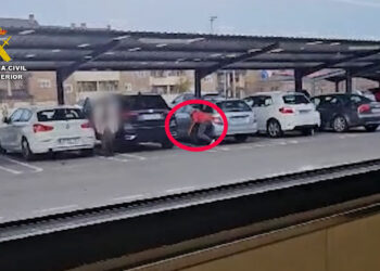 Ocho detenidos por cometer una veintena de hurtos a través del “método de la siembra”