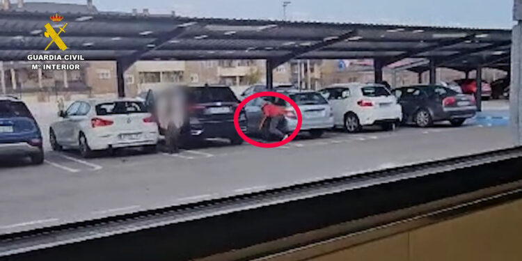 Ocho detenidos por cometer una veintena de hurtos a través del “método de la siembra”