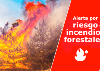 El Gobierno de Canarias declara la situación de alerta por riesgo de incendios forestales en Gran Canaria