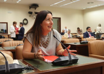 El Congreso aprueba el uso de la RIC para vivienda de alquiler de larga duración