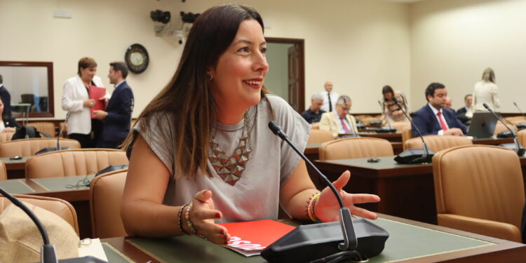 El Congreso aprueba el uso de la RIC para vivienda de alquiler de larga duración