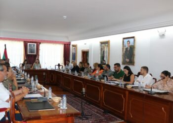 Arona Pleno Extraordinario