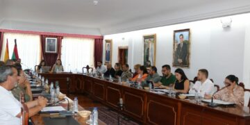 Arona Pleno Extraordinario