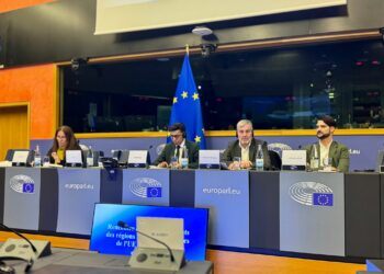 Canarias remite a la Comisión Europea sus demandas de cara a la revisión de la estrategia RUP