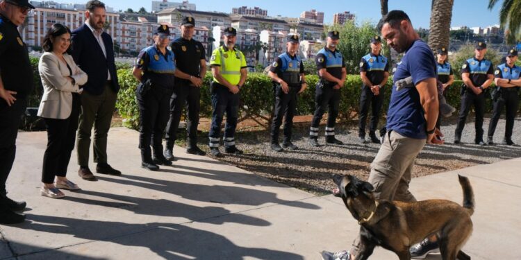 Darias clausura el I Curso de Guías Caninos para policías locales de Canarias 1