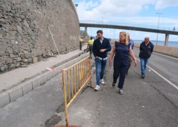 El concejal de Vías y Obras, Carlos Díaz, junto a la concejala del Distrito Vegueta, Cono Sur y Tafira, Nina Santana