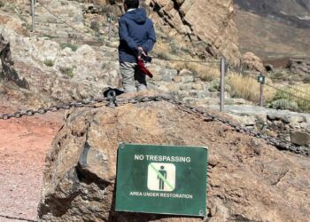 Infracciones Teide (2)