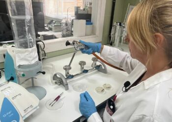 La red de laboratorios de Salud Pública procesó más de 11.200 muestras de alimentos y aguas en 2024