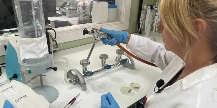 La red de laboratorios de Salud Pública procesó más de 11.200 muestras de alimentos y aguas en 2024