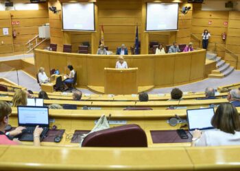 Monzón urge al Ministerio de Sanidad a abordar el déficit de especialistas en Medicina Familiar y Comunitaria