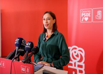 Fierro: “El PP necesita hablar de Torres porque no puede hablar del inexistente Domínguez”