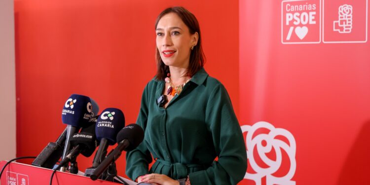 Fierro: “El PP necesita hablar de Torres porque no puede hablar del inexistente Domínguez”