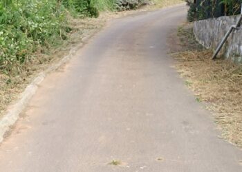 Pistas en la que se ha actuado (2)