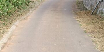 Pistas en la que se ha actuado (2)