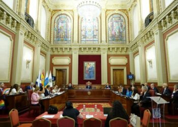 pleno junio 2025