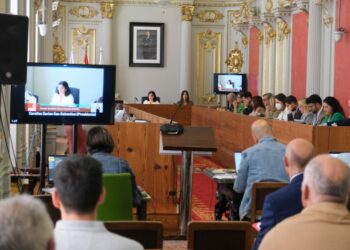 Pleno ordinario del mes de junio