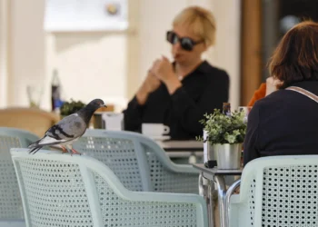 La primera feria integral sobre salud femenina derribará tabúes en torno a la menopausia