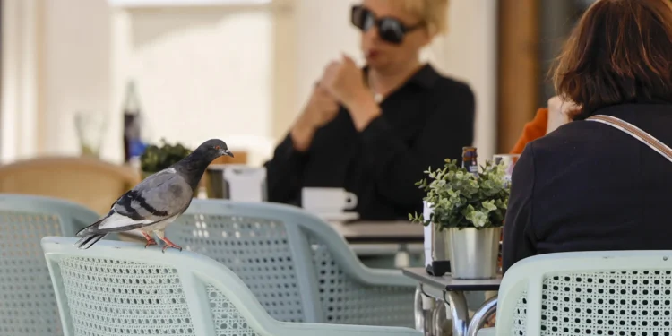 La primera feria integral sobre salud femenina derribará tabúes en torno a la menopausia