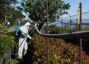 Ayuntamientos de Tenerife trabajan de forma coordinada para prevenir incendios forestales