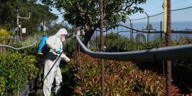 Ayuntamientos de Tenerife trabajan de forma coordinada para prevenir incendios forestales