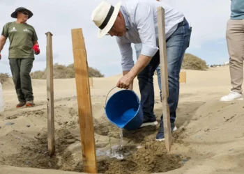 El éxito para recuperar las Dunas de Maspalomas, ejemplo para países como Cabo Verde