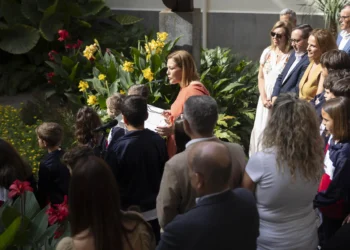 Los centros educativos de Canarias piden que se preste especial atención al ciberacoso