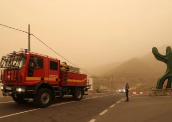 Gran Canaria pedirá que poder activar a la UME ante cualquier tipo de incendio si es necesario