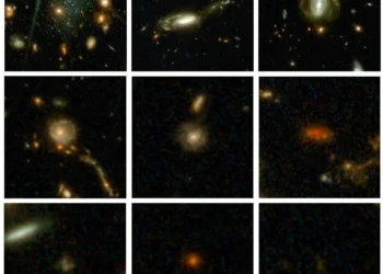 800.000 galaxias en el mayor mapa del universo realizado hasta la fecha, gracias al telescopio James Webb