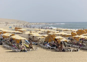 Maspalomas actualizará a 4,5 euros los «precios obsoletos» de sus hamacas y sombrillas y ofrecerá balinesas por 15 euros