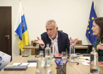 El PSOE canario sostiene que el PP ataca a Torres porque Manuel Domínguez es «un figurante insustancial»