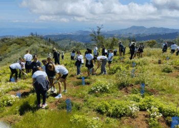 TUI Care Foundation Escolares