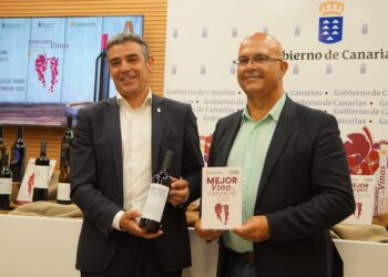 Brumas de Ayosa Tinto, de la DOP Valle de Güímar, Mejor Vino de Canarias 2025
