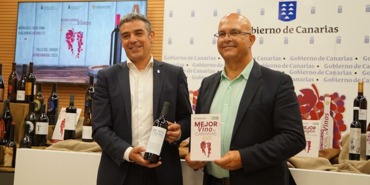 Brumas de Ayosa Tinto, de la DOP Valle de Güímar, Mejor Vino de Canarias 2025