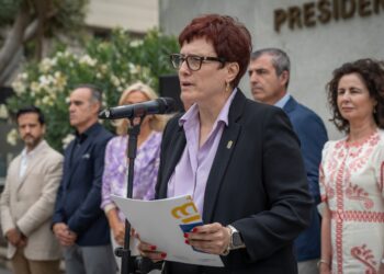 Canarias apela a la colaboración ciudadana y unión institucional para prevenir más feminicidios