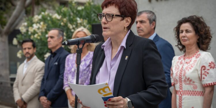 Canarias apela a la colaboración ciudadana y unión institucional para prevenir más feminicidios