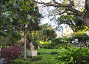 063708bc-baff-4e62-90d0-6516da461b2b