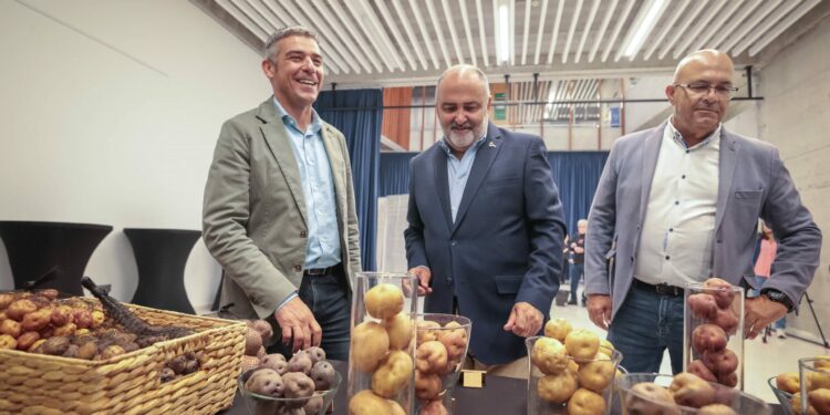 El Gobierno de Canarias refuerza el apoyo a la producción local de variedades de papas antiguas