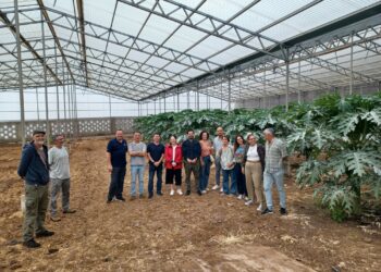 El Gobierno de Canarias y la ULL refuerzan la colaboración para impulsar la formación en el sector agrario