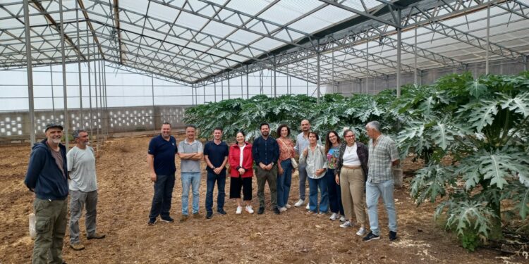 El Gobierno de Canarias y la ULL refuerzan la colaboración para impulsar la formación en el sector agrario