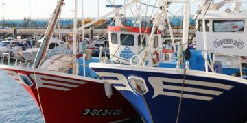 Convocadas ayudas FEMPA a la transformación y comercialización de productos de la pesca y la acuicultura por 4,9M€