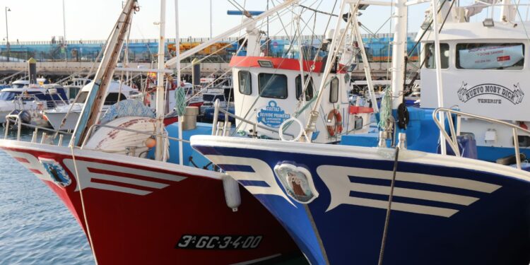 Convocadas ayudas FEMPA a la transformación y comercialización de productos de la pesca y la acuicultura por 4,9M€