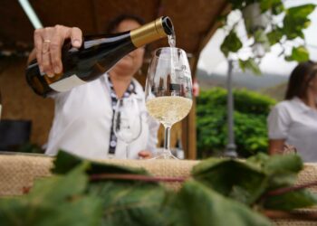 El Gobierno concede ayudas POSEI a la transformación, embotellado y comercialización exterior de vinos con DOP