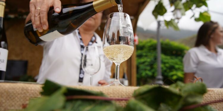 El Gobierno concede ayudas POSEI a la transformación, embotellado y comercialización exterior de vinos con DOP